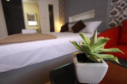 Bearing 26 Hotel - image 12