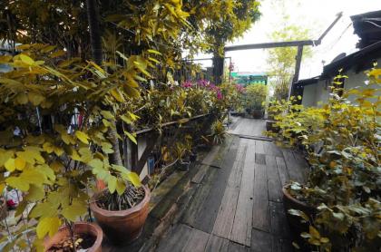 Kaloang home - image 5