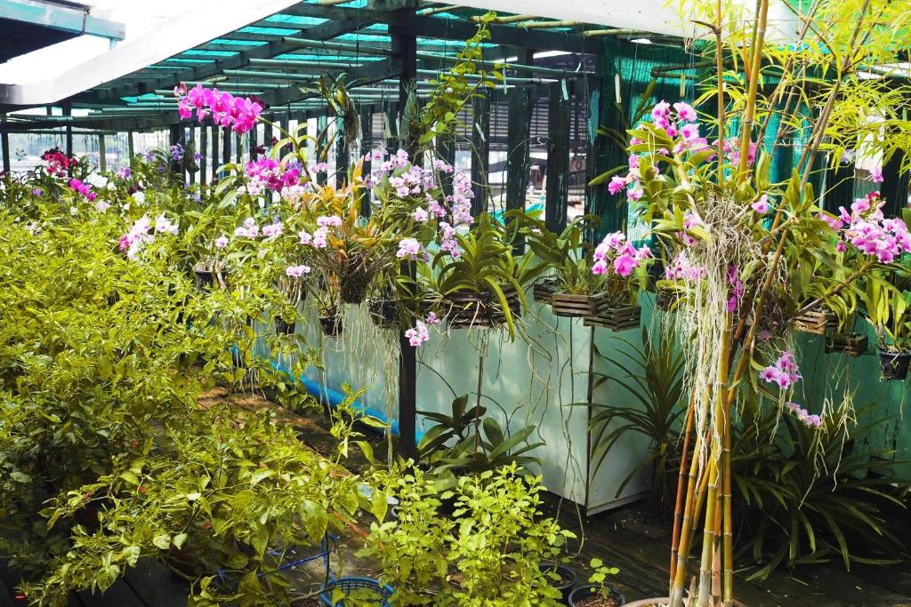 Kaloang home - image 6
