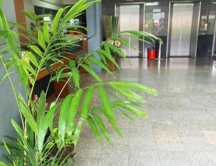 Grand Living Place - image 13