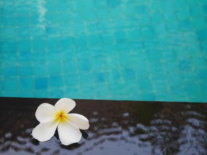 Nanda Heritage Hotel - image 14