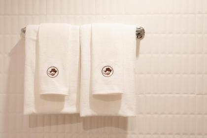Hotel PAPA Bangkok - image 19