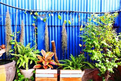DDM House - image 4
