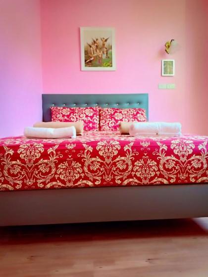 santo house - image 10