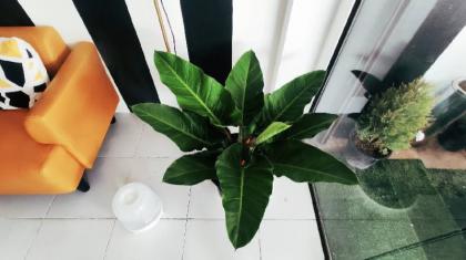 Nap at 265 Donmuang - image 10