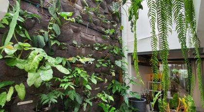 Roompini - image 11