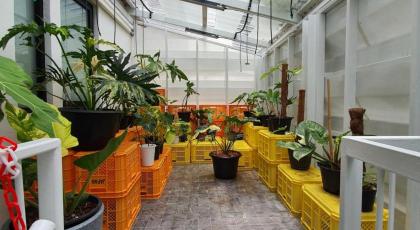 Roompini - image 7