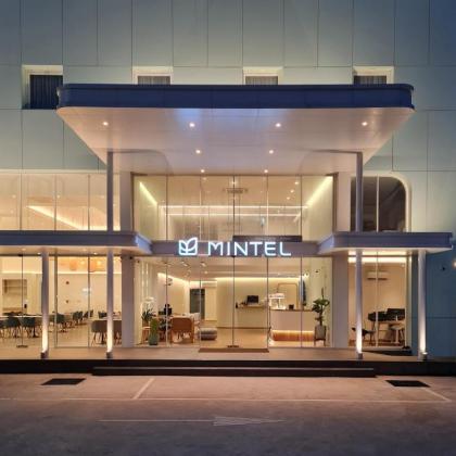 Mintel Huamark - image 1
