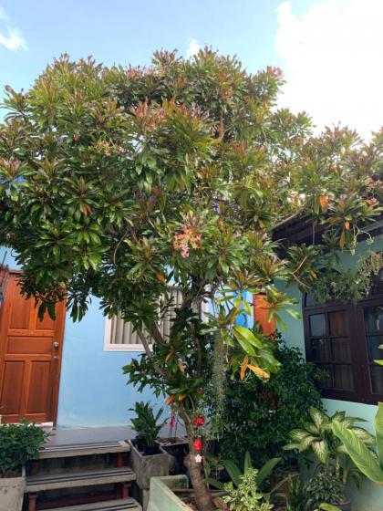 D Heart Homestay - image 13
