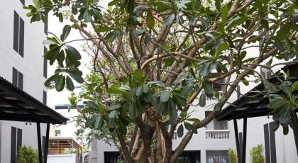 Almas Hotel Bangkok - image 6