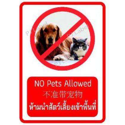 Baansukhumvit14 - image 20