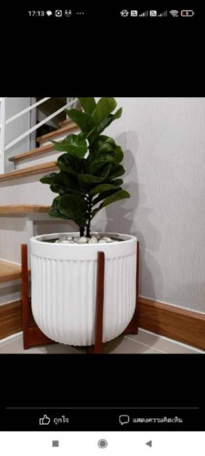 Bmm house - image 4