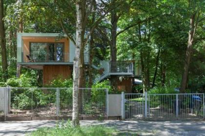Urban Tree House - image 20