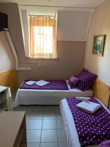 Sashalom Hotel - main image