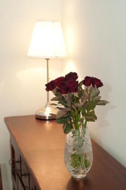 Liana-Luxury And Central Flat - image 14