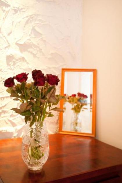 Liana-Luxury And Central Flat - image 17