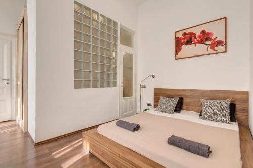 Real Apartments Múzeum - main image