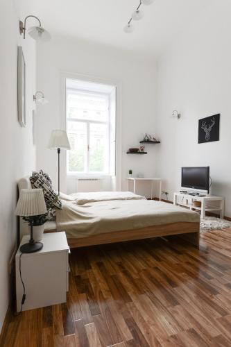 Spacious Evergreen Apartment in the heart of Budapest - main image