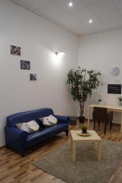 Spacious Evergreen Apartment in the heart of Budapest - image 17