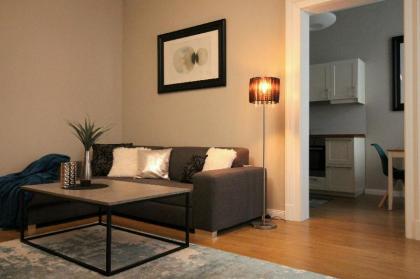 Polar Light Apartment