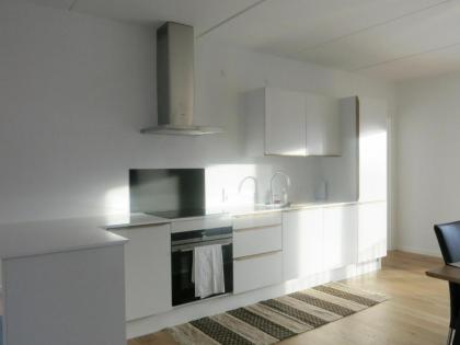 ApartmentInCopenhagen Apartment 1338 - image 11