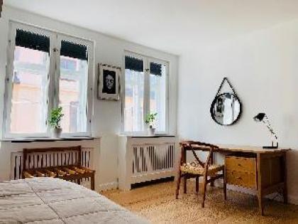 Luxury Penthouse Apartment in Central Copenhagen 