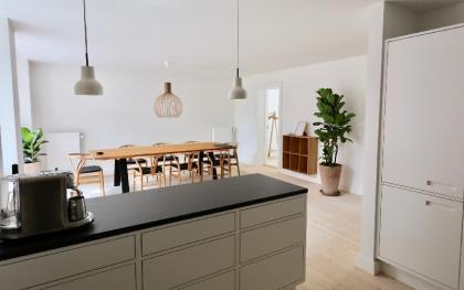 Dinesen Collection Luxury Condos by Kings Square 3 - image 5