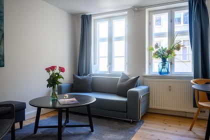 Cozy 1-bedroom apartment in the historical center of Copenhagen close to Tivoli - image 6