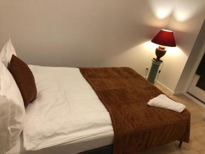 Metro Apartment - image 13
