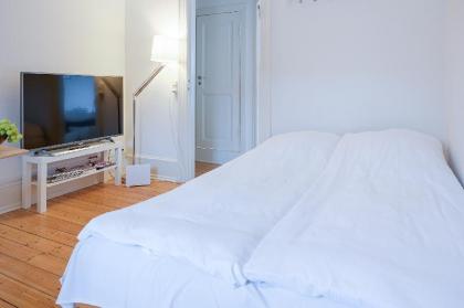 Cozy One bedroom Apartment in Copenhagen Downtown 