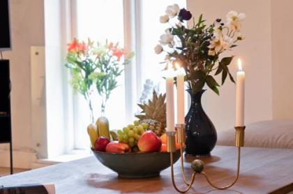 Sanders Leaves - Chic Three-Bedroom Apartment In Downtown Copenhagen - image 3