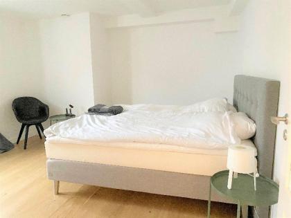 Spacious Centrally Located Penthouse With a terrace Close to Illum Copenhagen