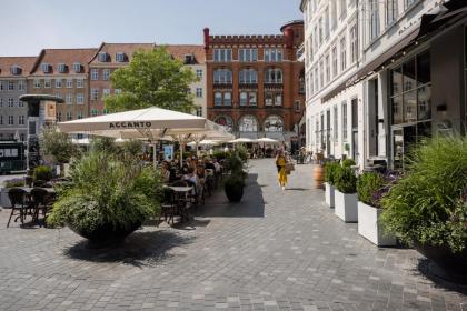 LUXURY Penthouse · Private Balcony · Heart of Copenhagen - image 30