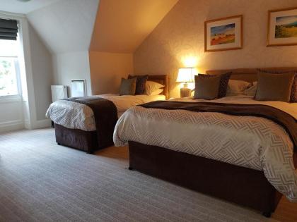 Kew House - image 3