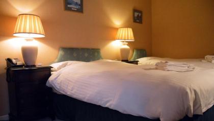 A-Haven Townhouse Hotel - image 16