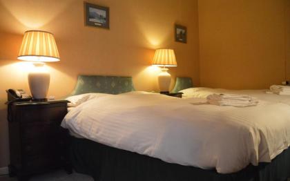 A-Haven Townhouse Hotel - image 9
