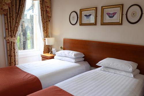Old Waverley Hotel - image 4