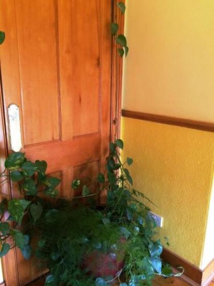 Bellevue Guest House - image 11