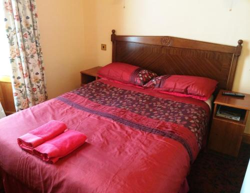 Bellevue Guest House - image 5