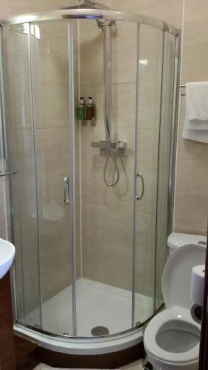Adelphi Hotel - image 14
