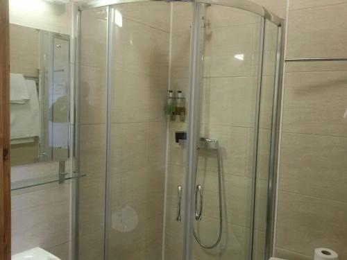 Adelphi Hotel - image 4