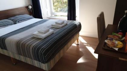 Blossom Guest House - image 3