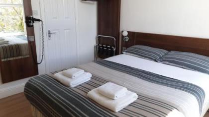 Blossom Guest House - image 6