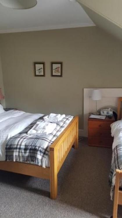 Ivy Braveheart Guest House - image 14