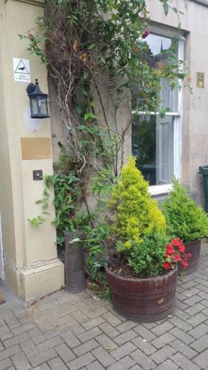 Ivy Braveheart Guest House - image 3