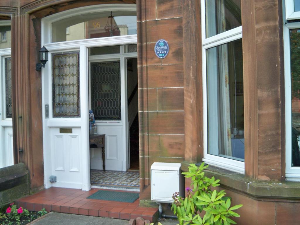 The Conifers - main image