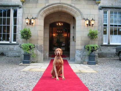 Melville Castle Hotel - image 15