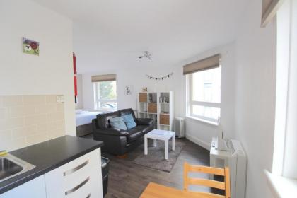 Lochrin Apartments - image 12