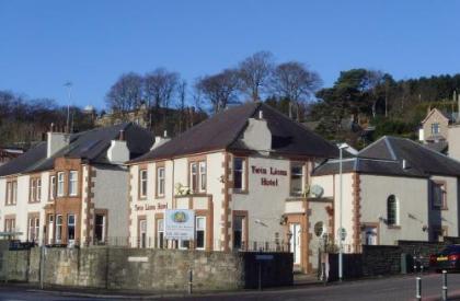 Twin Lions Hotel - image 1