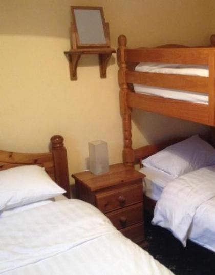 Twin Lions Hotel - image 12